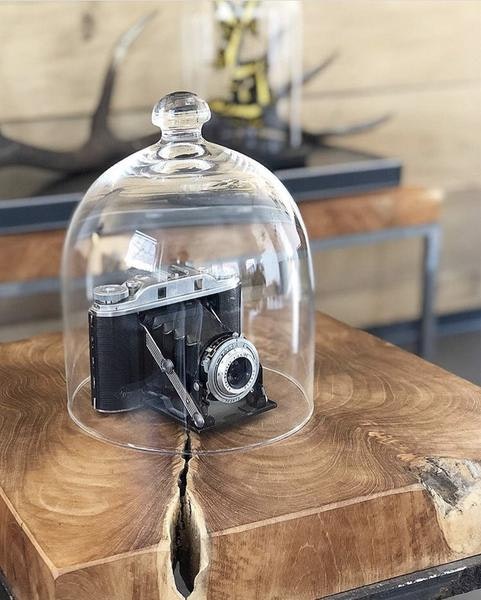 Glass Cloche by Madam Stoltz