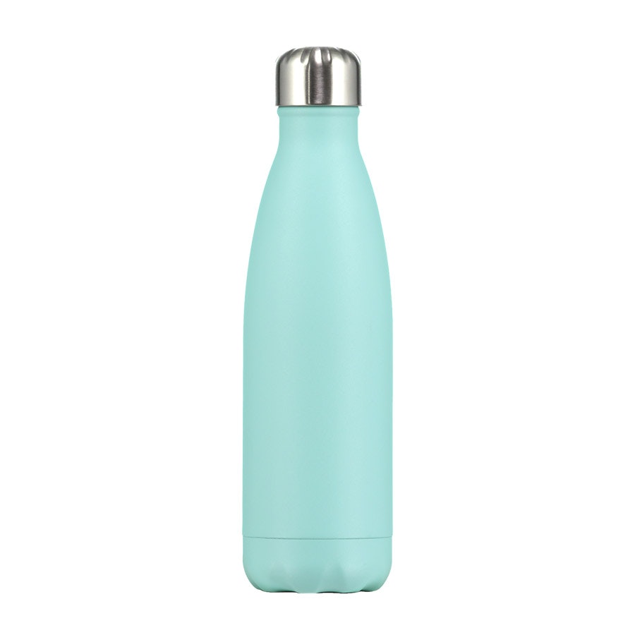 Bottle Pastel Green 500ml by Chilly's