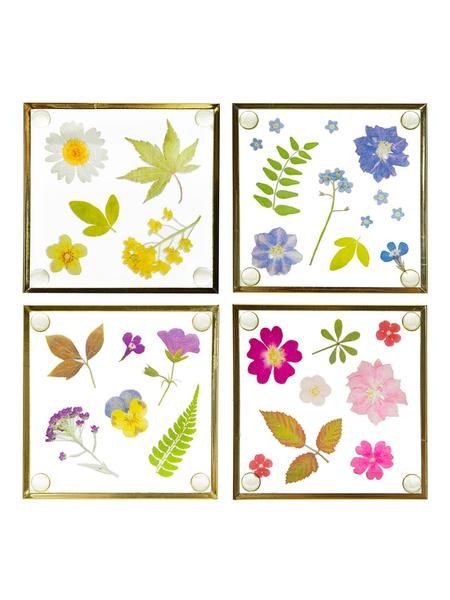 Pressed Flowers Glass Coasters by Sass & Belle