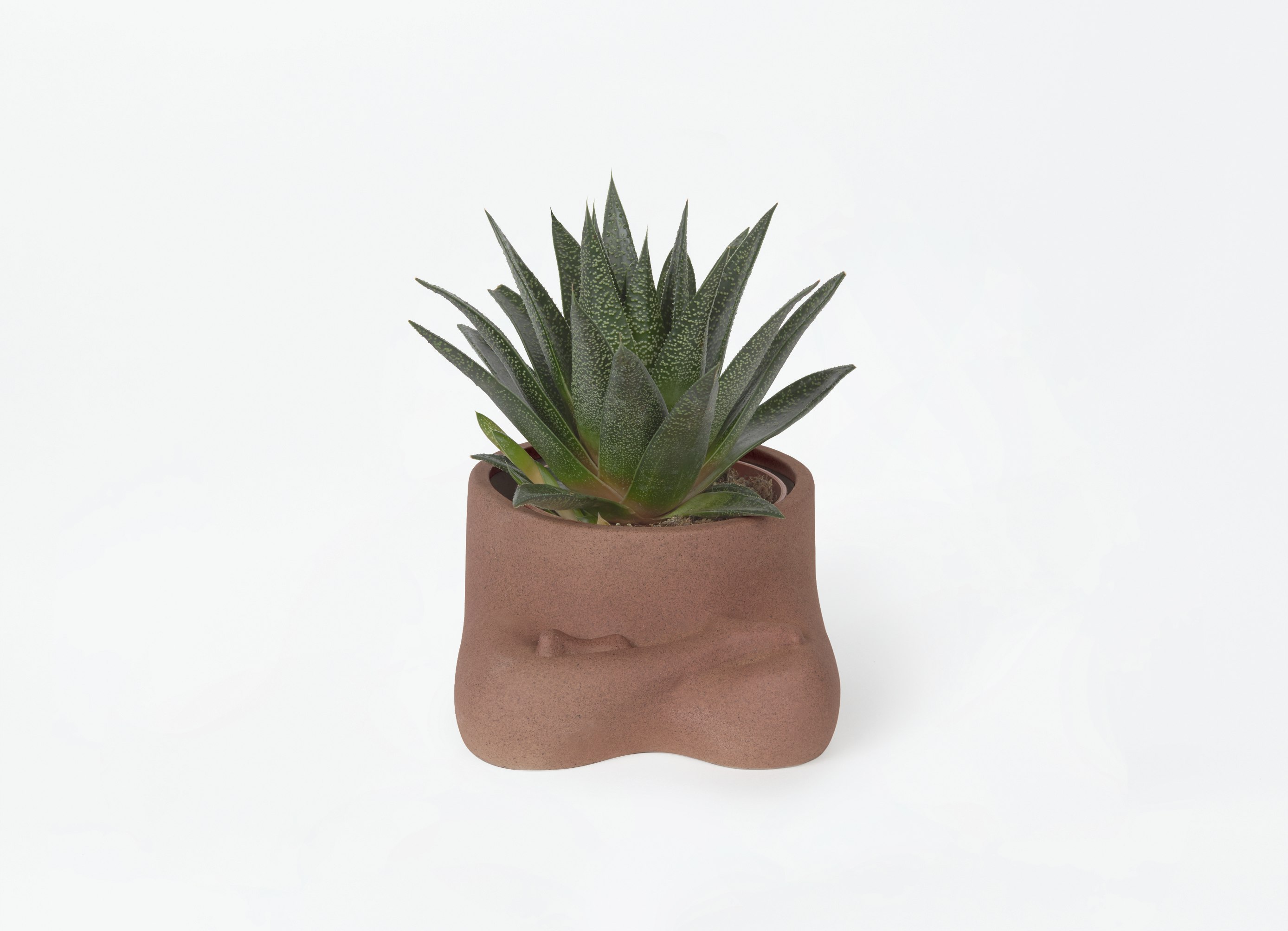 Namaste Plant Pot by DOIY Design