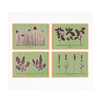 Studio Wald Herb Recipe Note Cards - Set of 4 by Studio Wald
