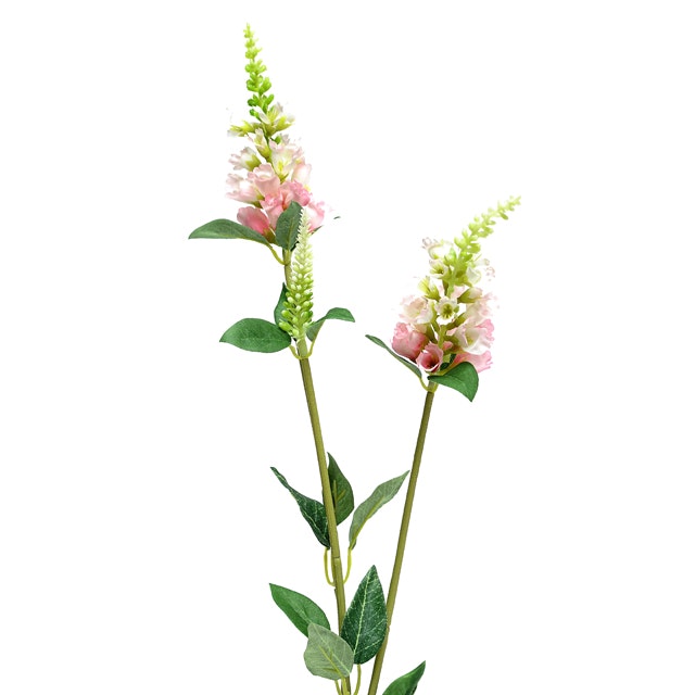 Pink Physostegia Spray Flower Decor by Hyde And Seek