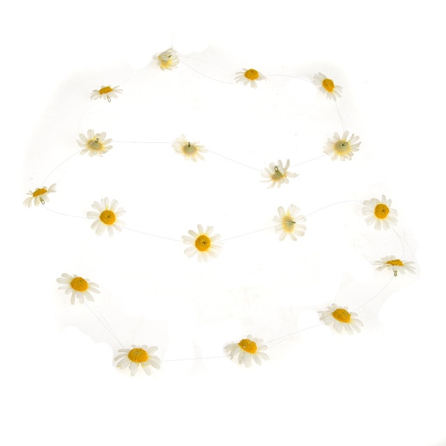 Daisy Head String Garland by Hyde And Seek