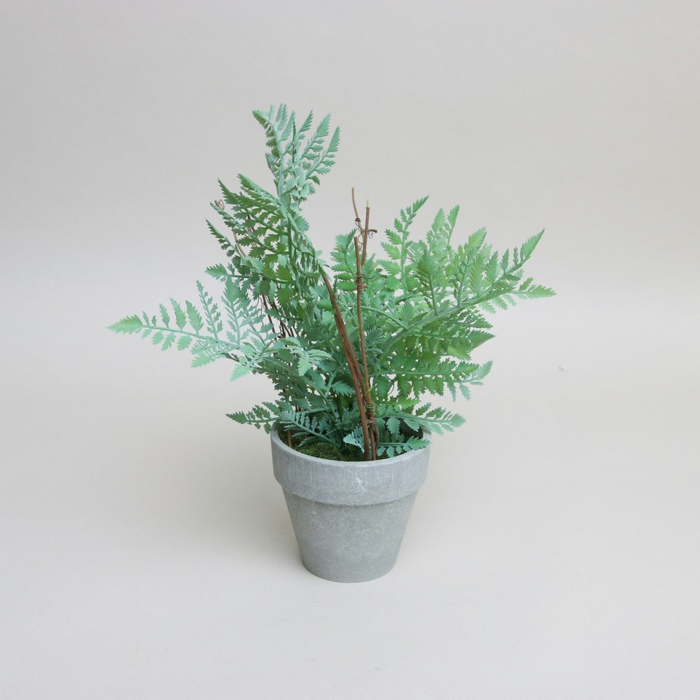 Faux Small Potted Fern by