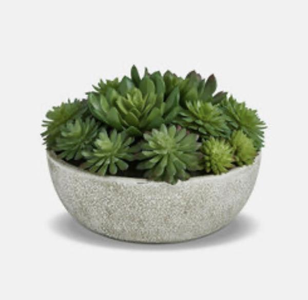 Vintage Large Succulent Planter by Vintage garden room