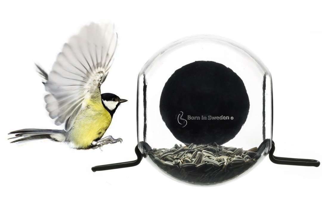 Transparent and Black Close Up Bird Feeder by Distinctly Living