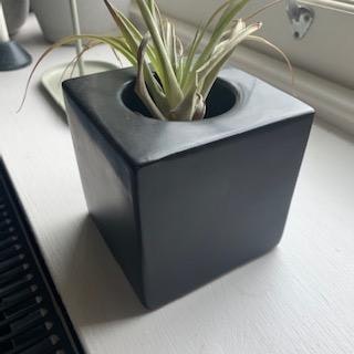 Black Ceramic Planter Small by I am Nomad