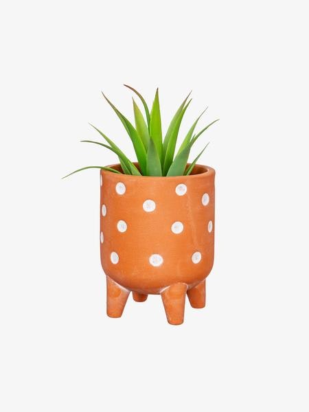 Small Polka Dot Terracotta Leggy Planter by Sass & Belle