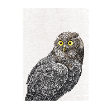 Barking Owl Tea Towel by Distinctly Living