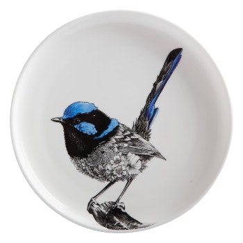 Superb Fairy-Wren Plate by Distinctly Living