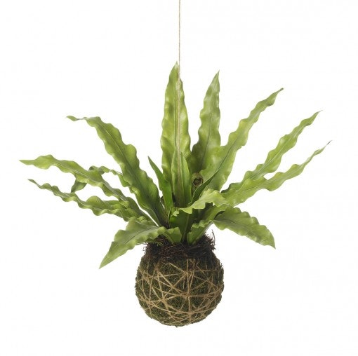 Faux Hanging Asplenium Ball by Parlane