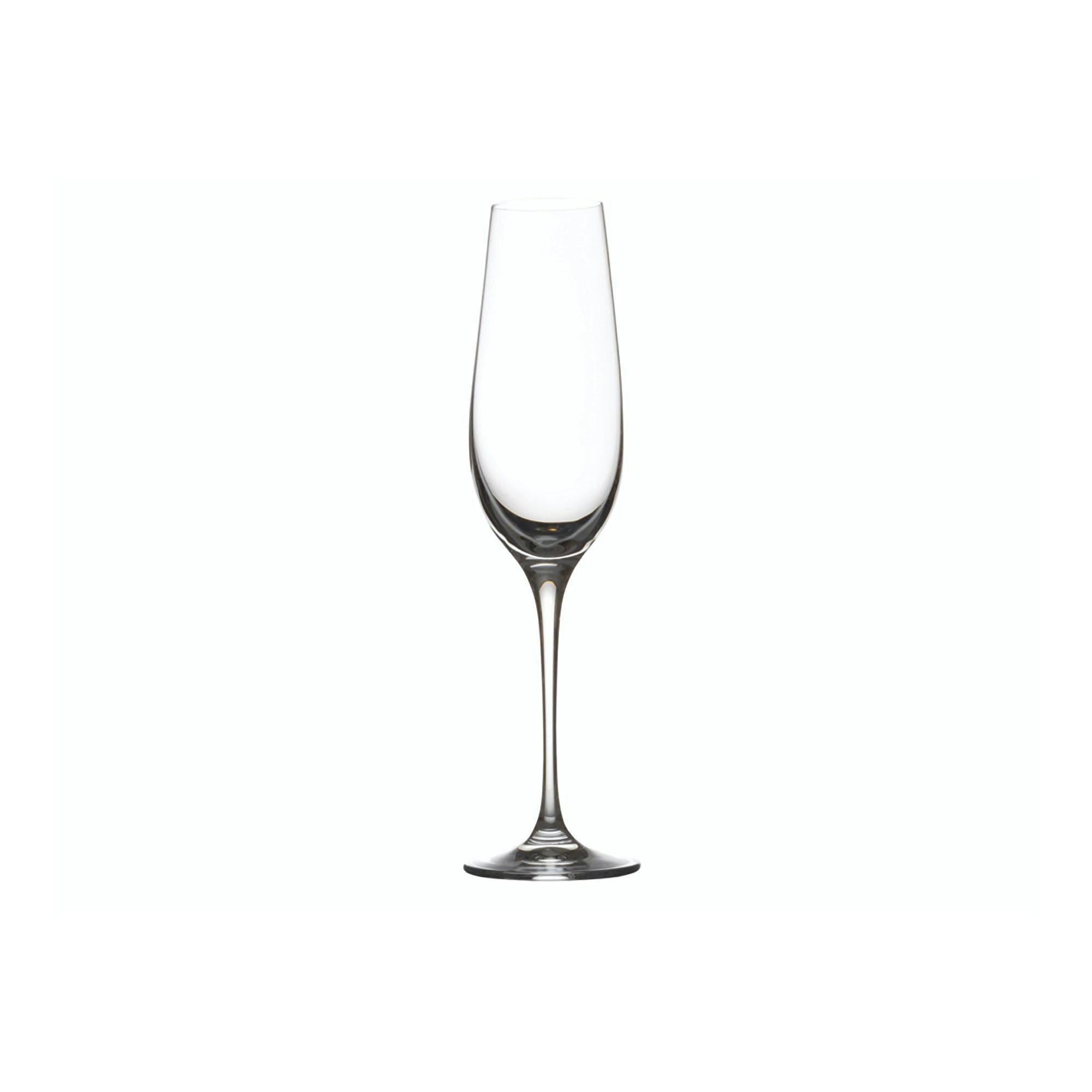 Set of 6 Champagne Flutes Glasses by Distinctly Living