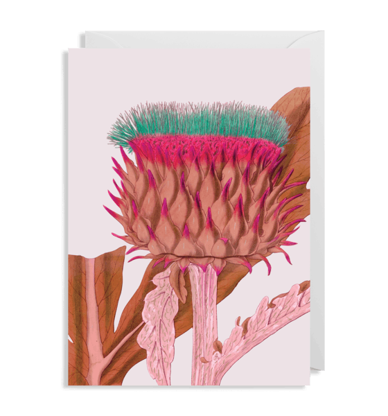 Cardoon Kew Card by Lagom Design