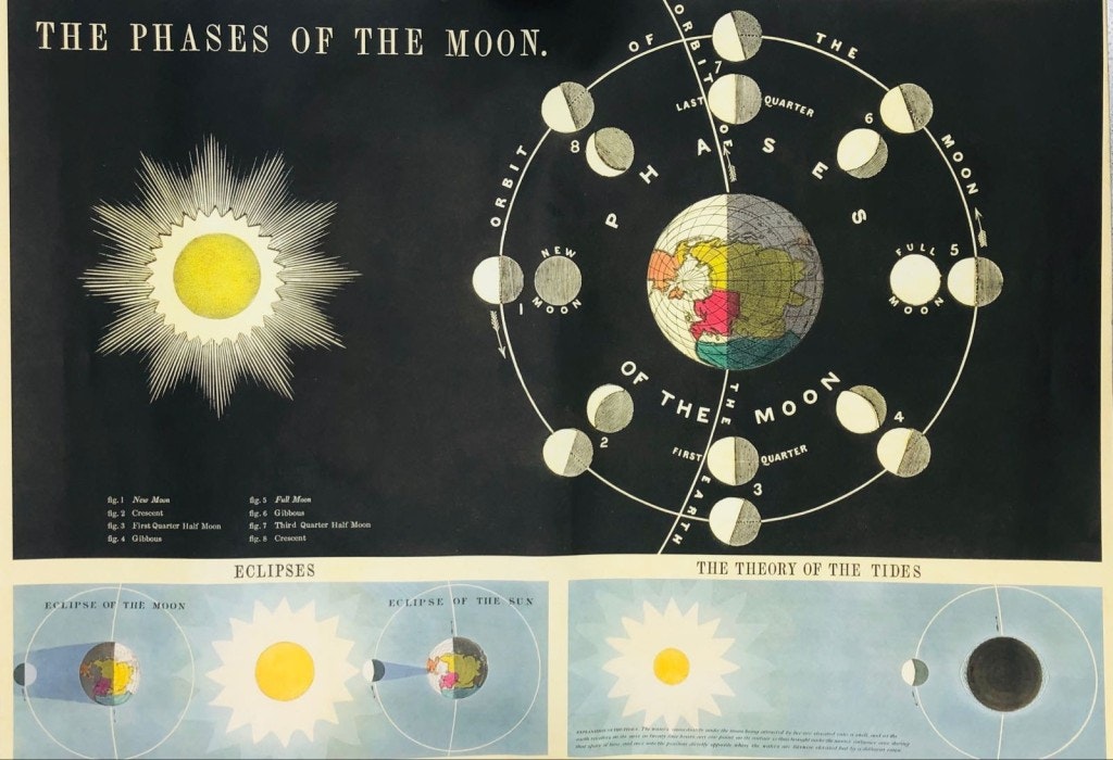 Phases of the Moon Poster by Cavallini & Co