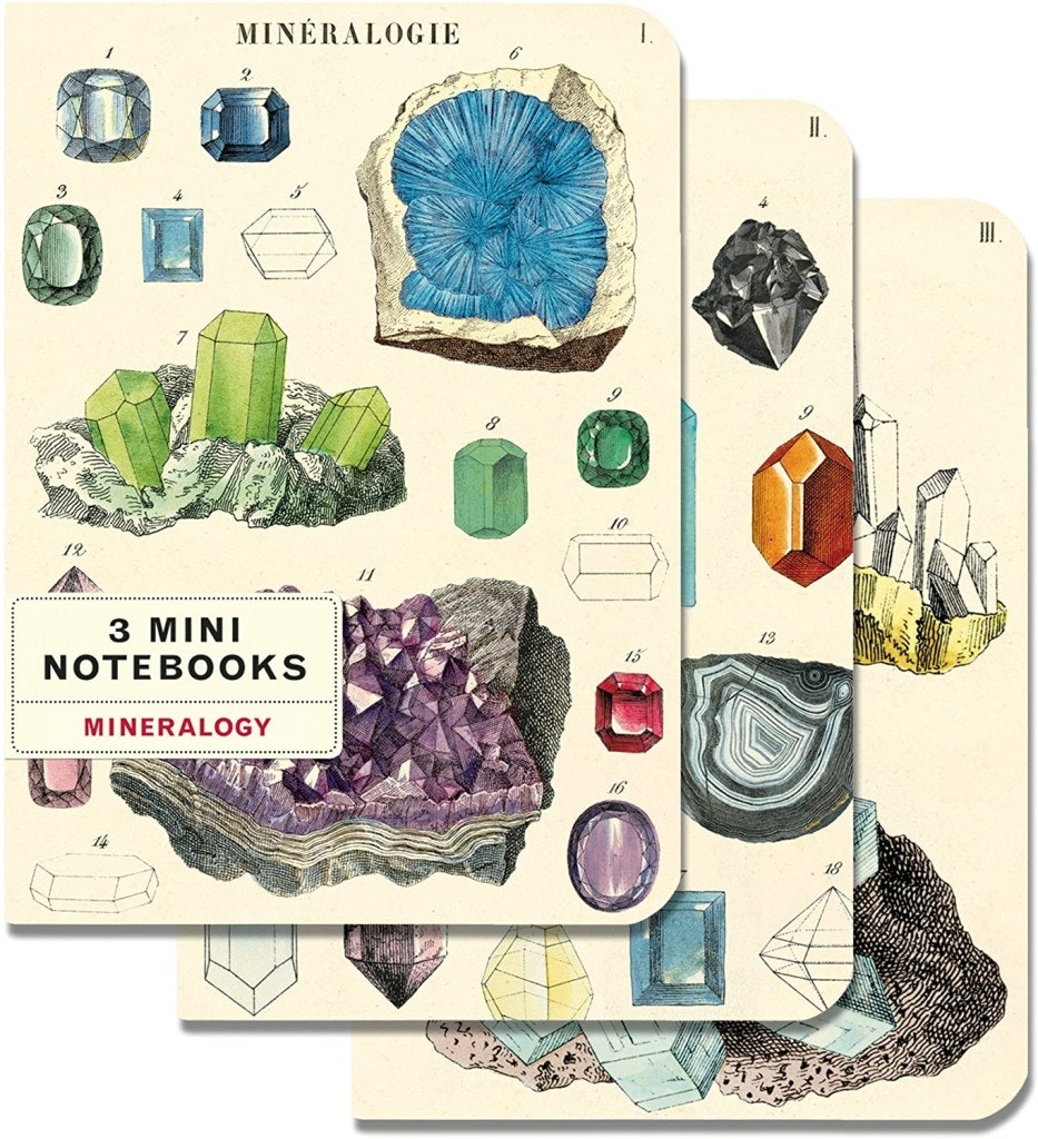 Set of 3 Mineralogy Notebooks by Cavallini & Co
