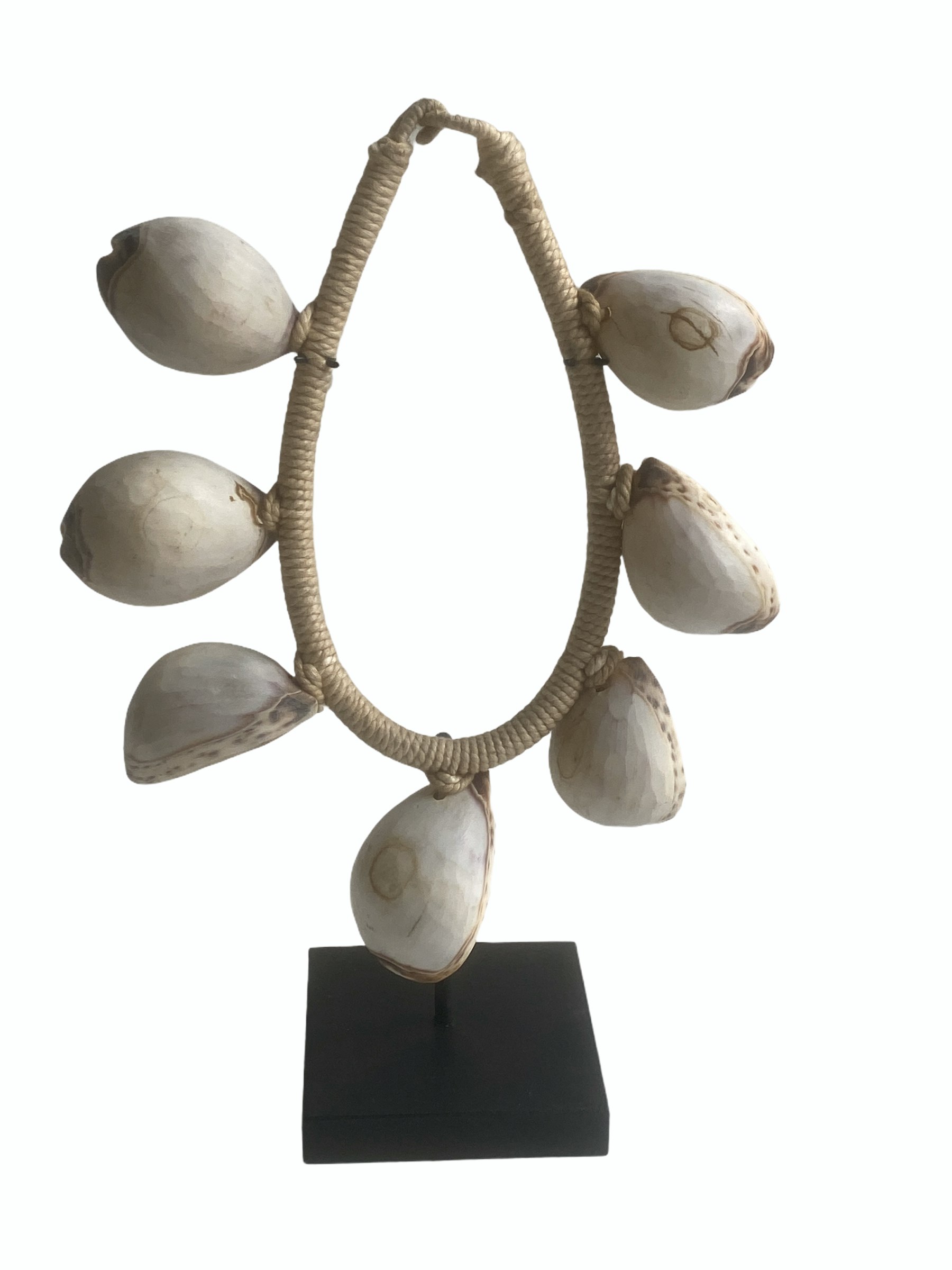 Handmade White Shell Necklace by Botanical Boys