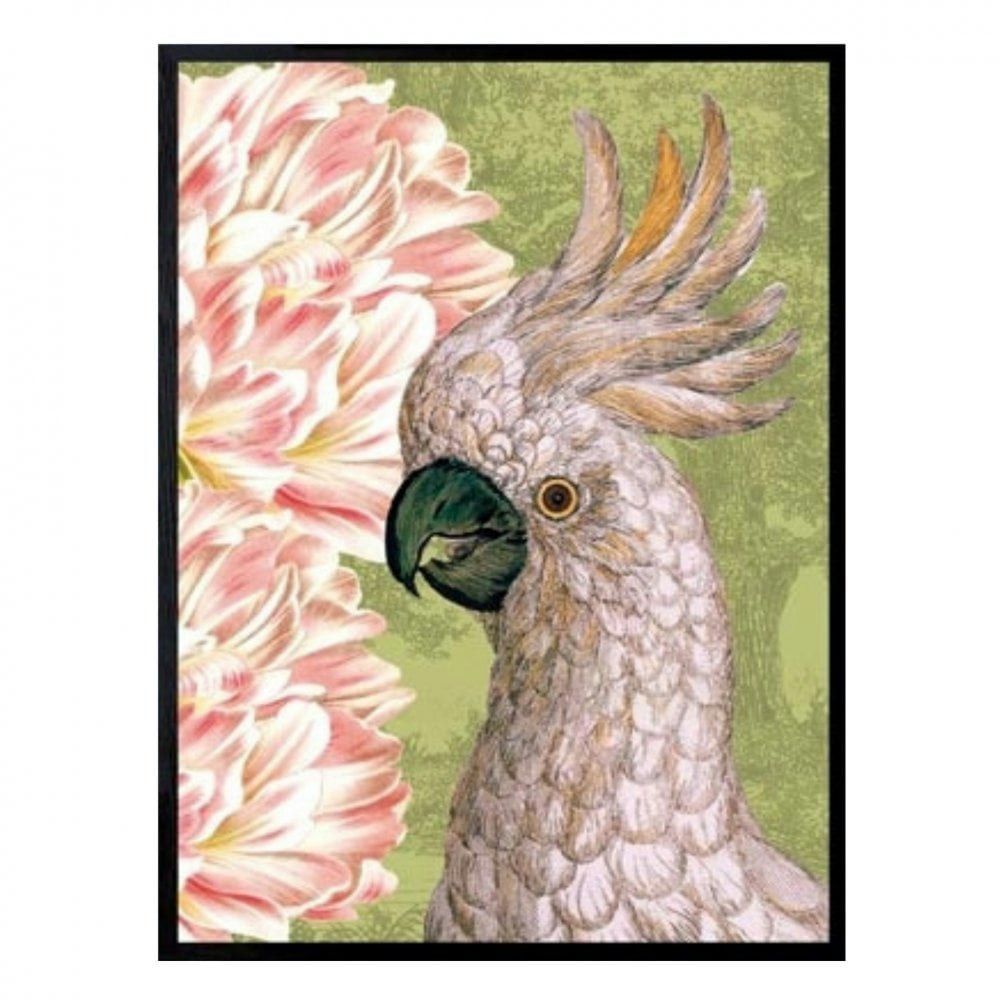 Tulip Parrot Print 30 x 40cm by Vanilla Fly