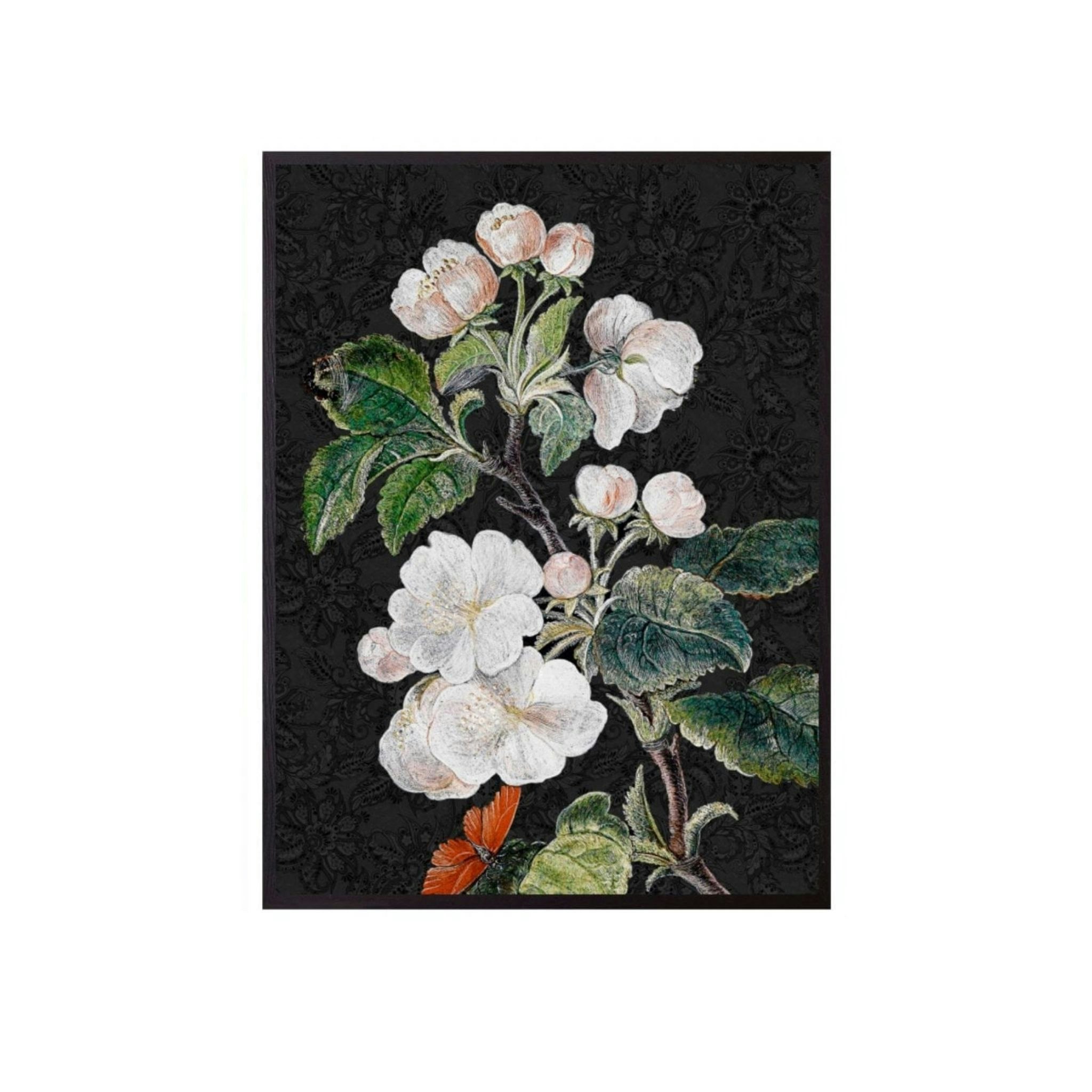 Apple Blossom Black Print 20 x 25cm by Vanilla Fly
