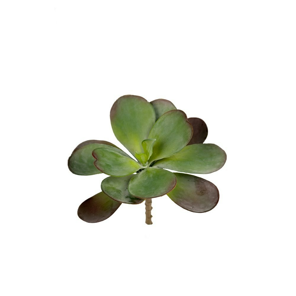 Succulent Artificial Plant by Distinctly Living