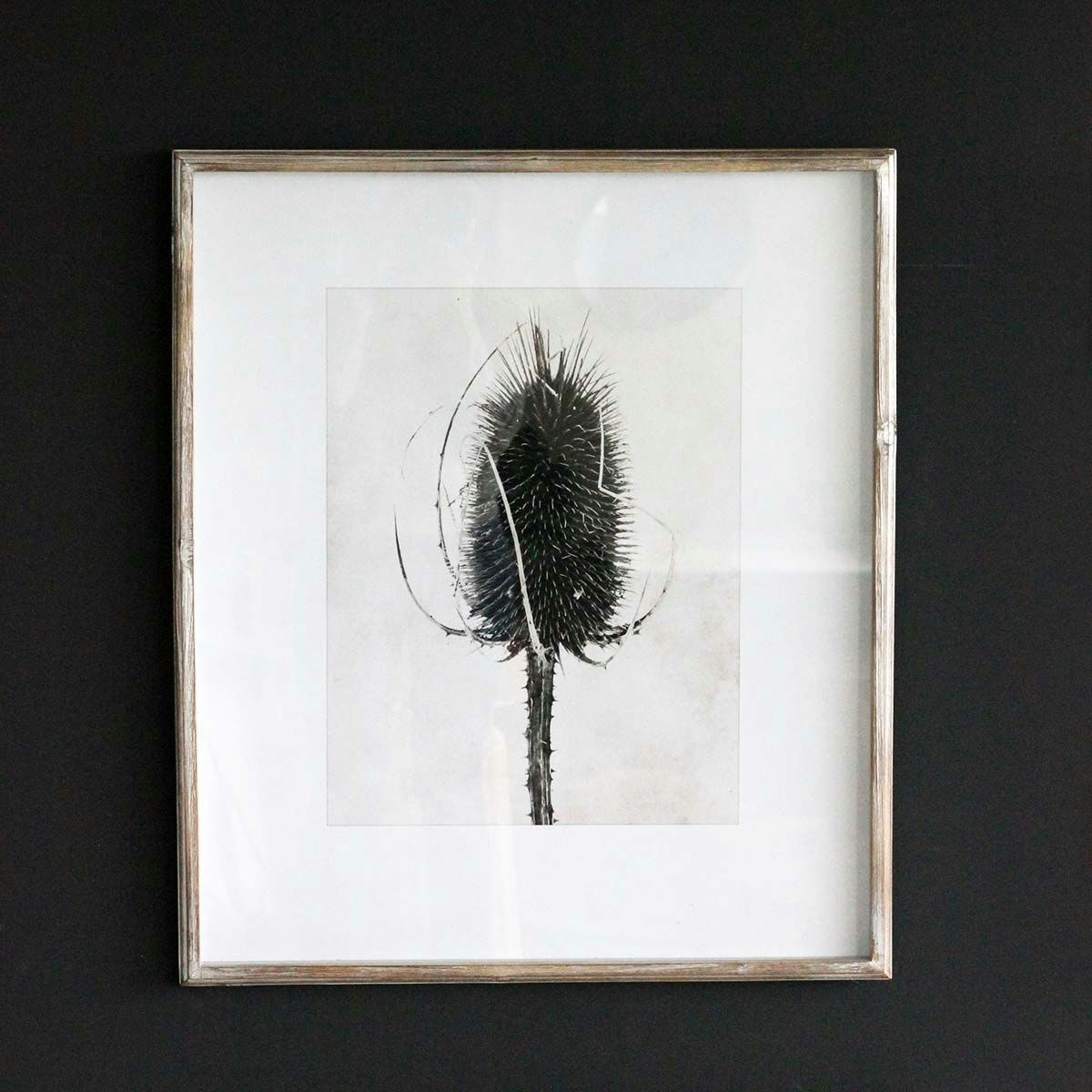 Sepia Floral Picture D with Wooden Frame by Distinctly Living