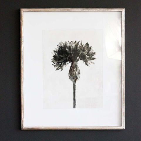 Sepia Floral Picture B with Wooden Frame by Distinctly Living