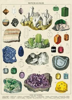 Mineralogy Poster by Cavallini & Co