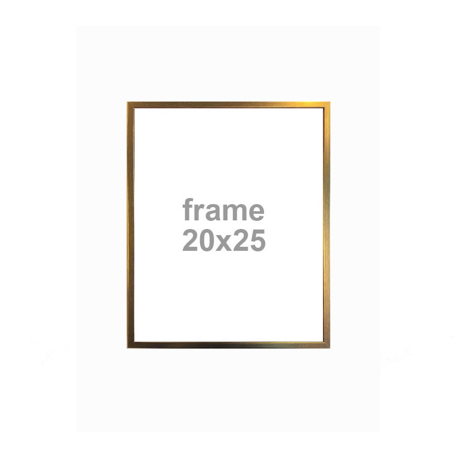 Gold Frame With Glass 20 x 25cm by Vanilla Fly