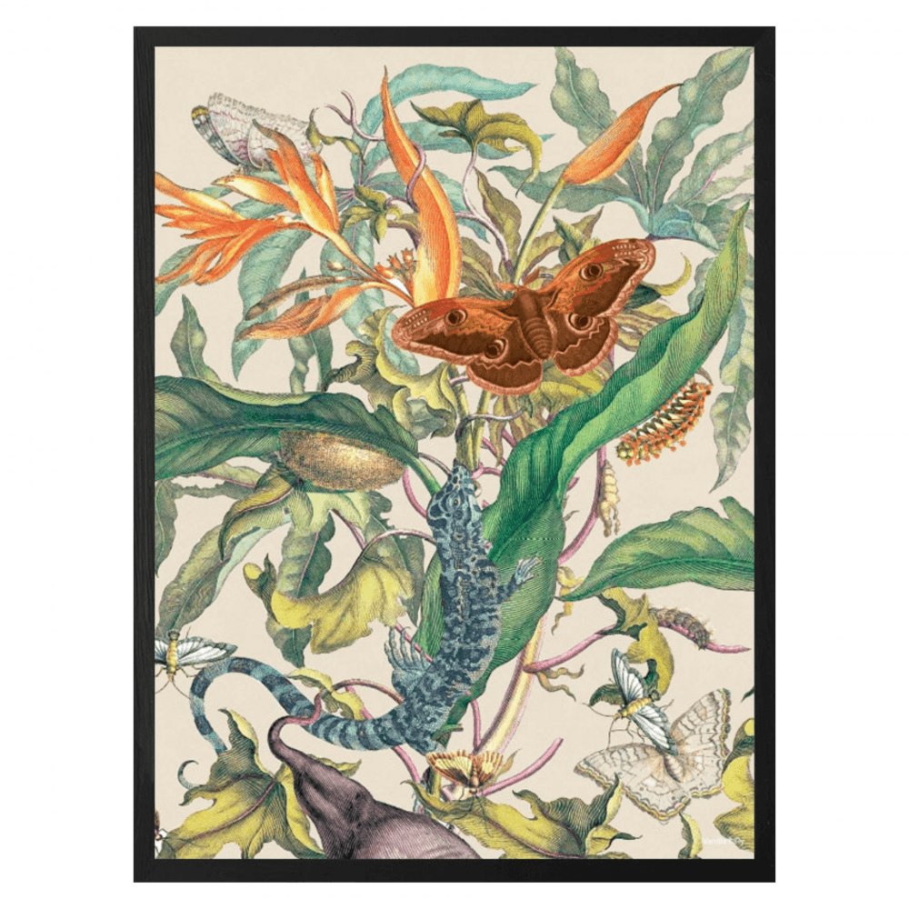 Botanical 3 Poster 30 × 40cm by Vanilla Fly