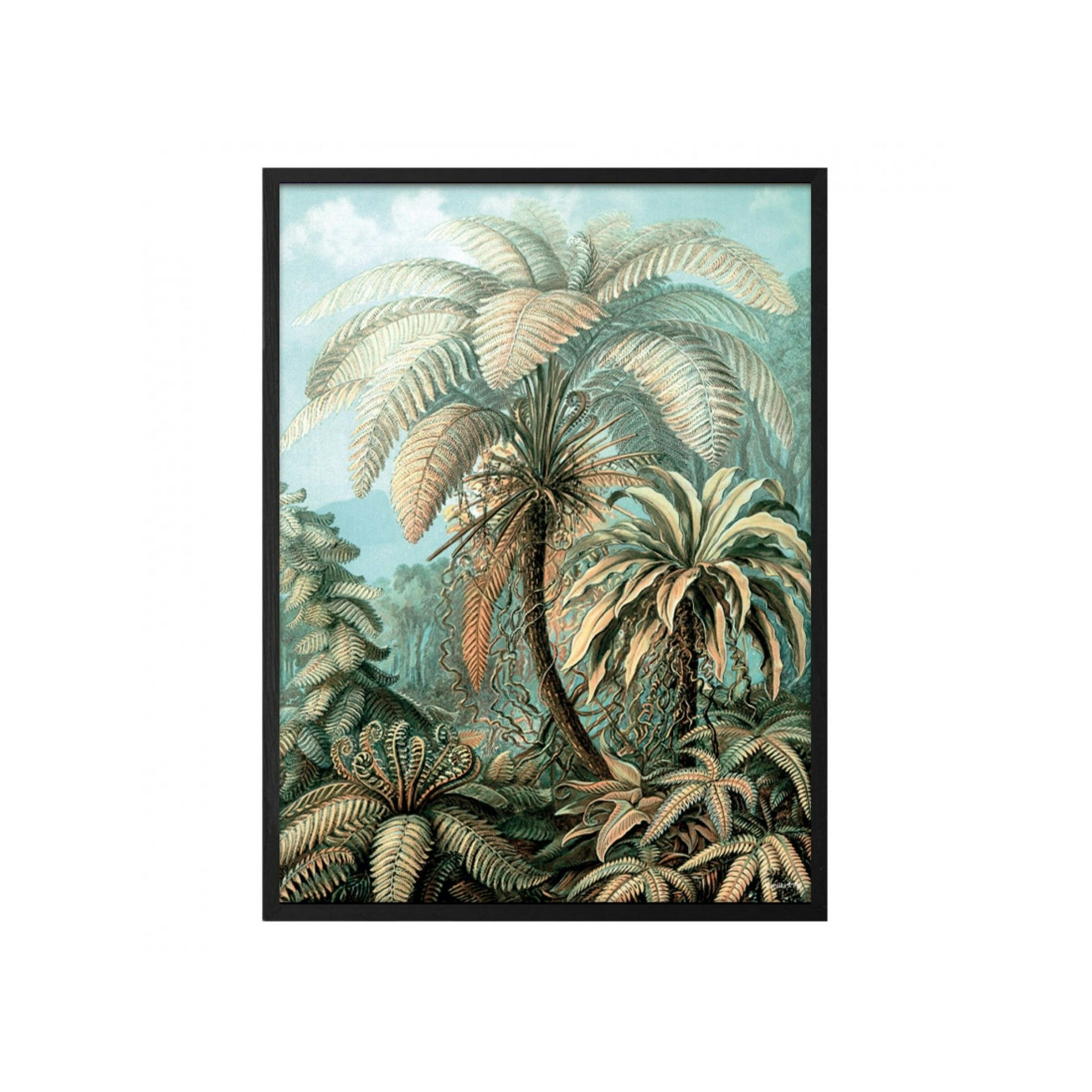 Palm Heaven Print 20 x 25cm by Vanilla Fly