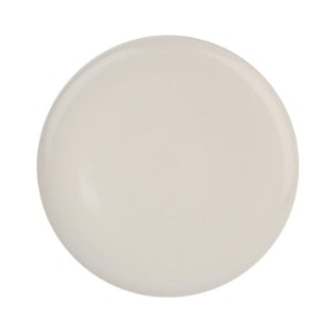 Set Of 4 White Shell Bisque Dinner Plate by Canvas Home