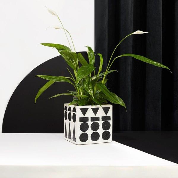 Totems Medium Cube Planter | Off-White / Black by HANNAH DRAKEFORD DESIGN