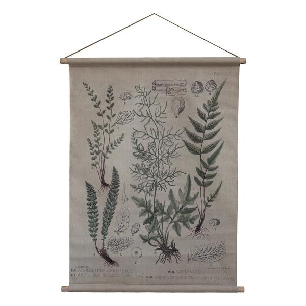 Botanical Illustration Canvas Wallhanging Small by Chic Antique