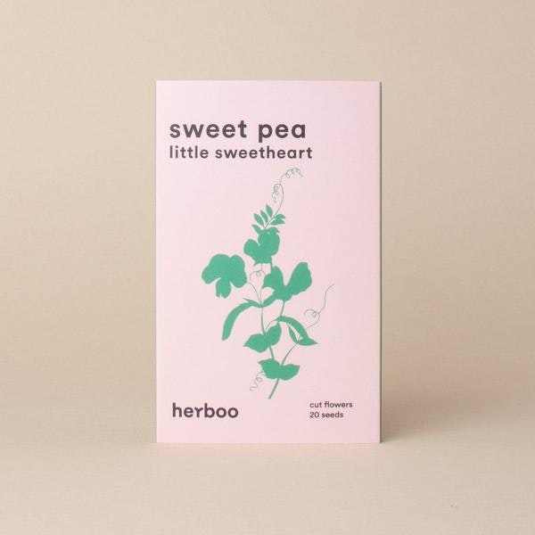 Sweet Pea Little Sweetheart Seeds by Herboo
