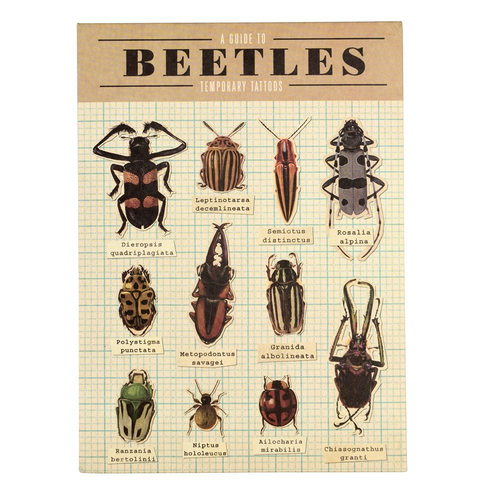 Beetles Temporary Tattoos by Rex London