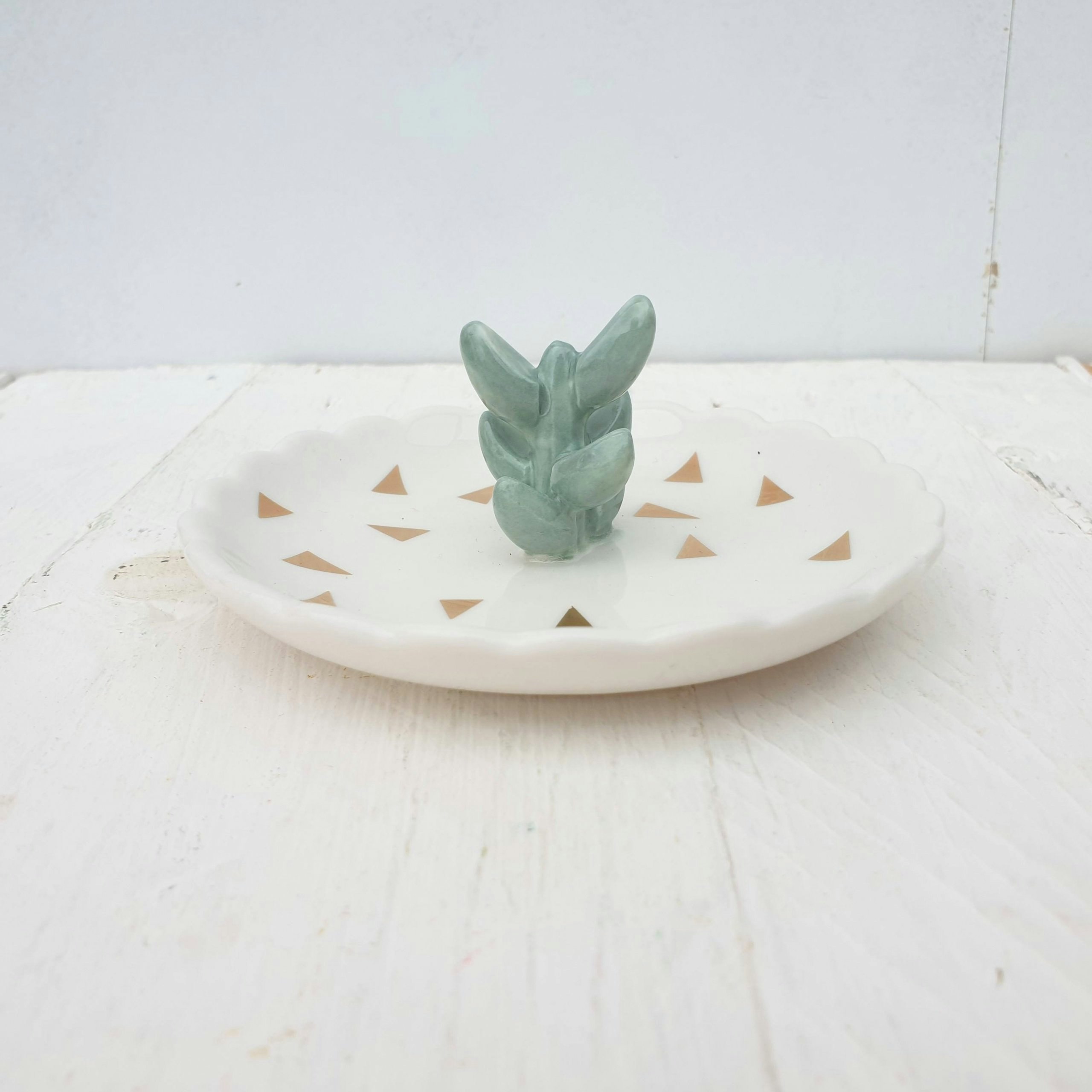Urban Succulent Dish by