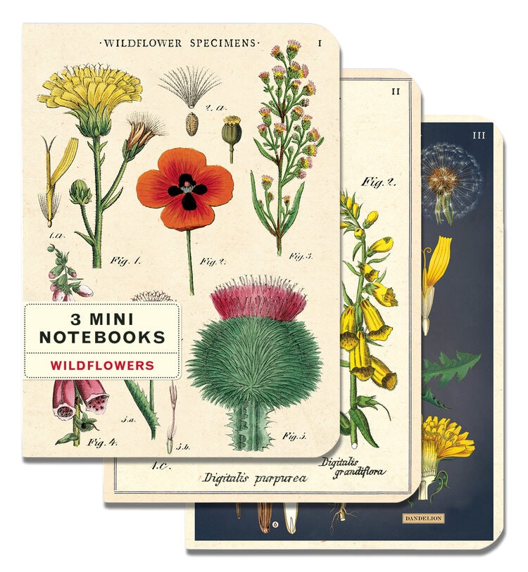 Wildflowers Notebooks: Set of 3 by Cavallini & Co