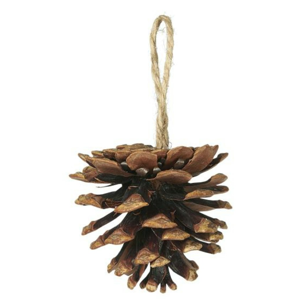 Set of 6 Pine Cones with Jute String by Ib Laursen