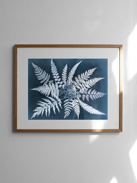 Fern Star Poster by Fine Little Day