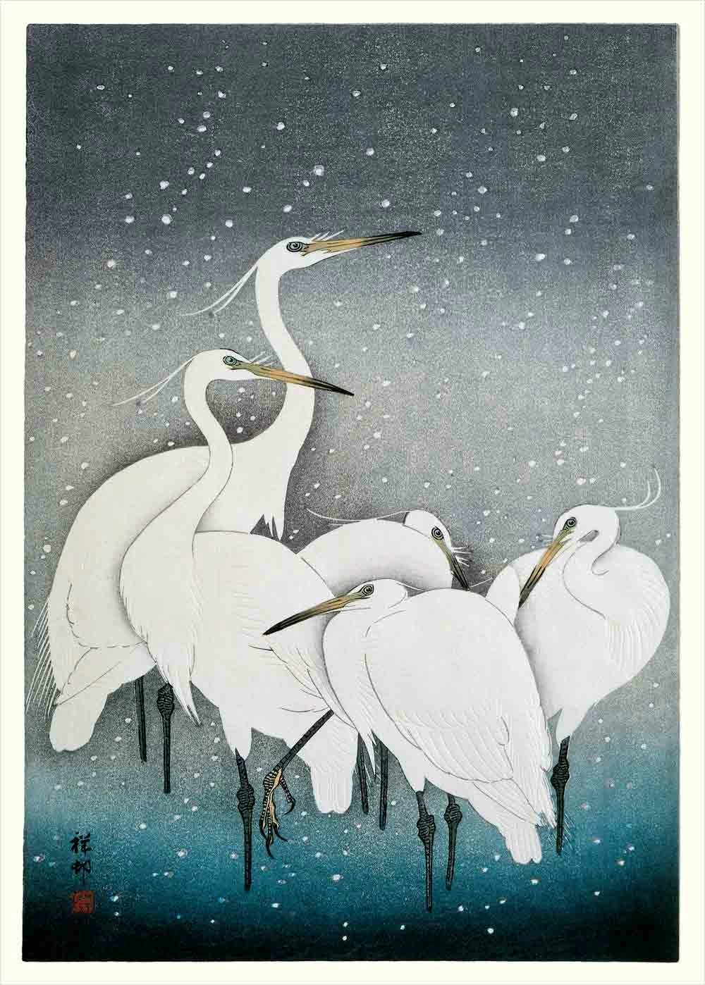 Snowy Heron Print 50x70 by the Dybdahl Company