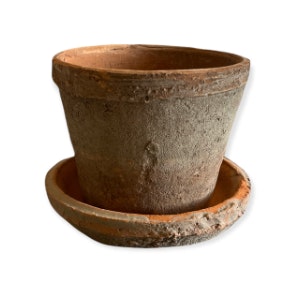 Mossed Redstone Pot And Tray 13 X10cm by Bramley & White
