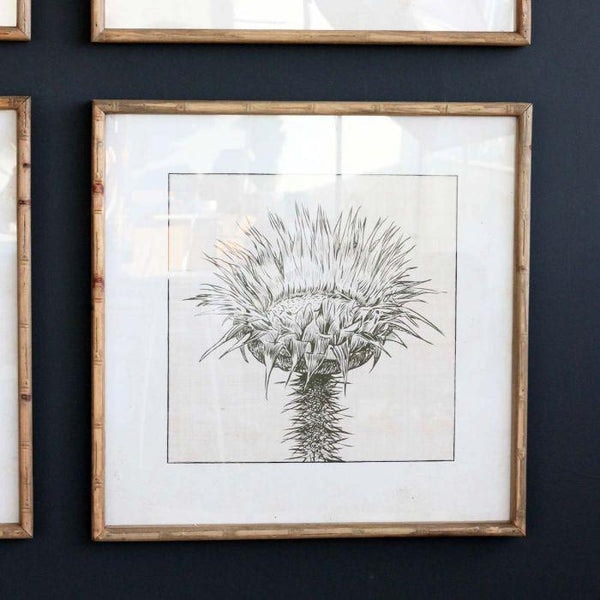 Framed Botanical Picture - Sun Flower by Distinctly Living