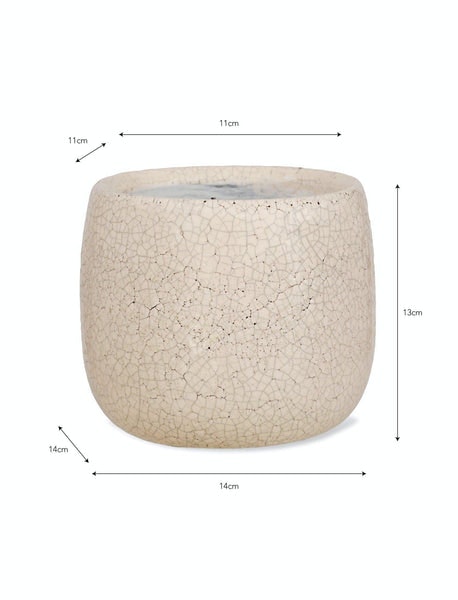 Vello Crackle Glaze Plant Pot by Distinctly Living