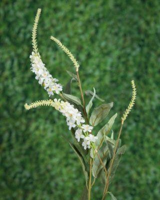 White Salvia -flowers by Distinctly Living