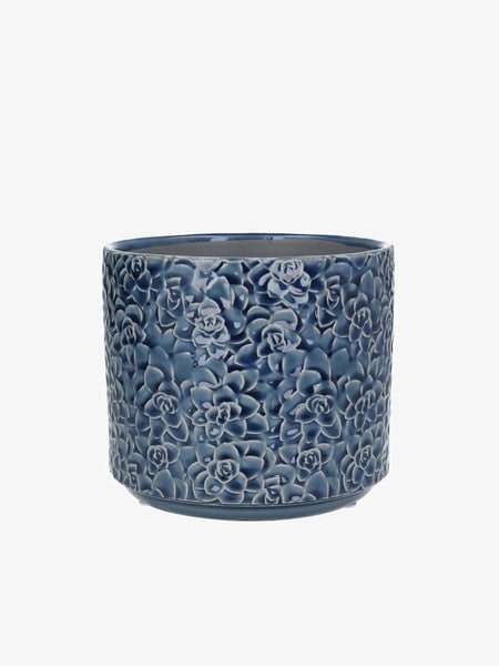 Navy Succulents Ceramic Pot Cover Small by Gisela Graham