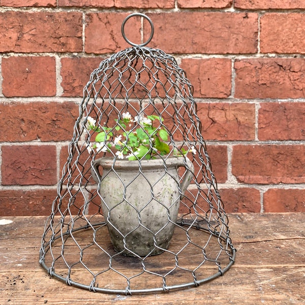 Wire Garden Cloche by Terrace and Garden