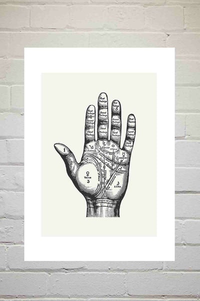 Palmistry A3 Print by East End Prints