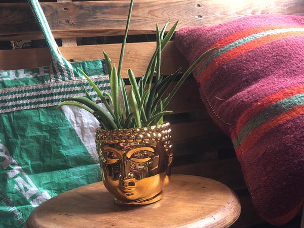 Small Buddha Plant Pot by Temerity Jones