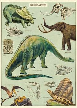 Dinosaurs Poster by Cavallini & Co