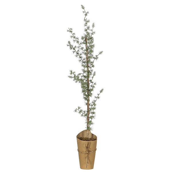 Faux Cedar Tree with Paper Stand by TUSKcollection