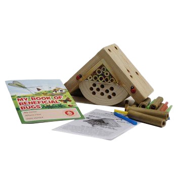 Bug Box For Kids by Wildlife World